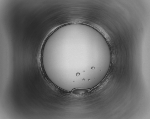 X0000102270948200808081438