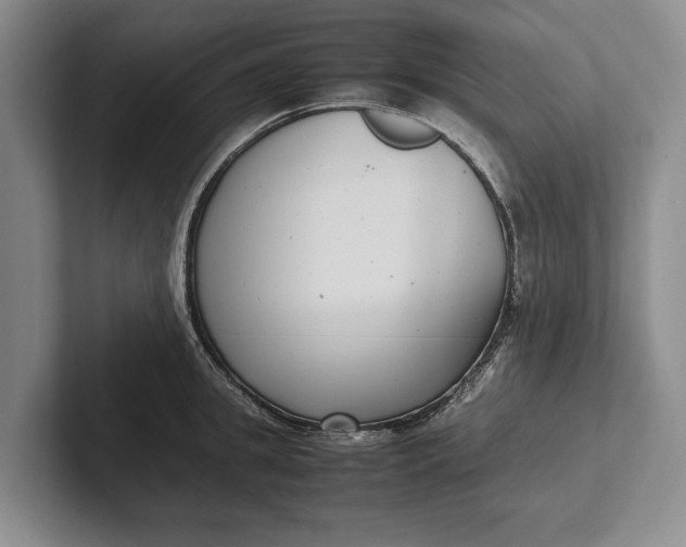 X0000102270949200808081438