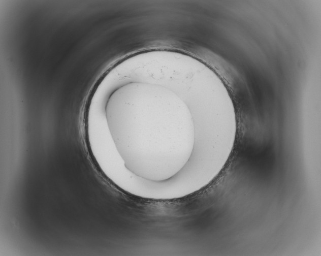 X0000102270950200808081438