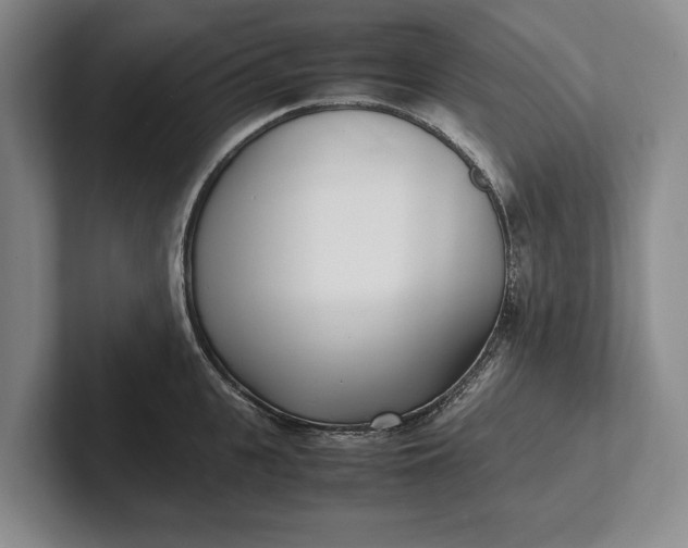 X0000102270951200808081438