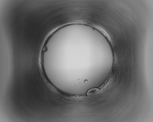 X0000102270952200808081438