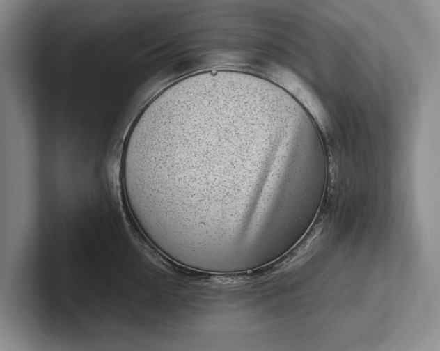 X0000102270954200808081438