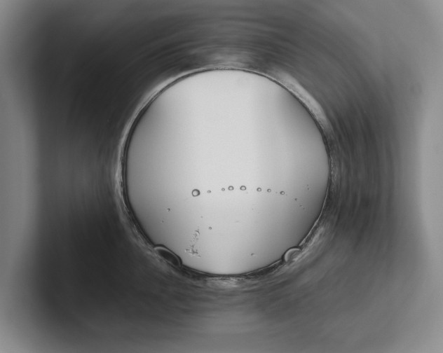 X0000102270956200808081438