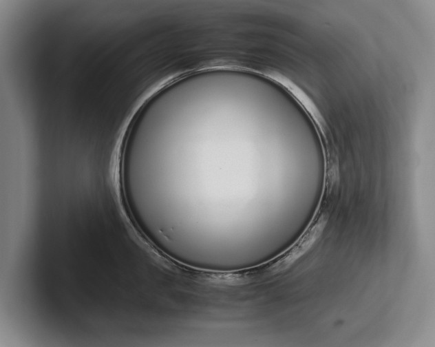 X0000102270957200808081438