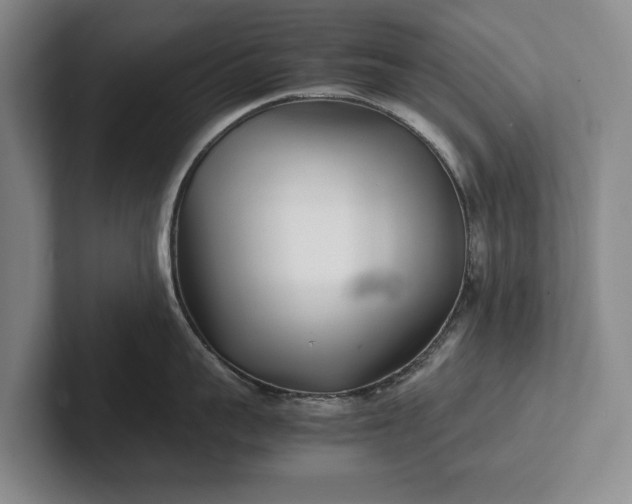 X0000102270959200808081438