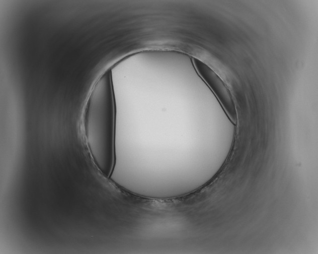 X0000102270960200808081438