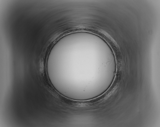 X0000102270969200808081437