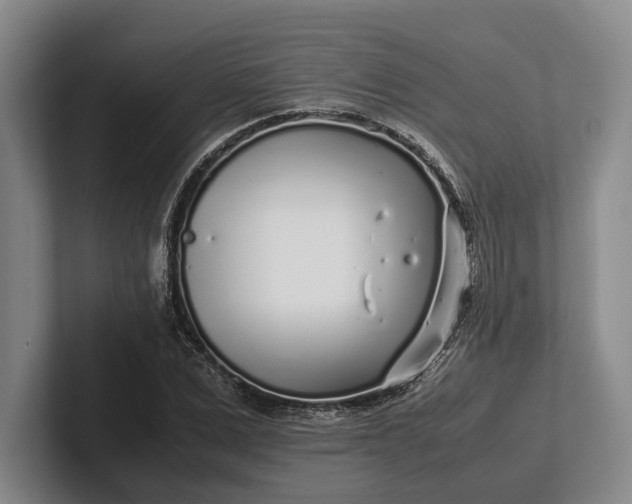 X0000102270975200808081437