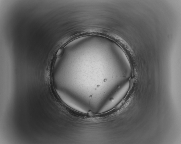 X0000102270977200808081437