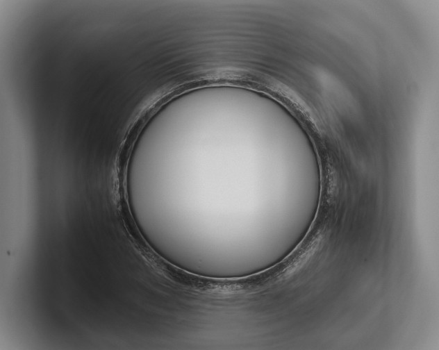 X0000102270978200808081437