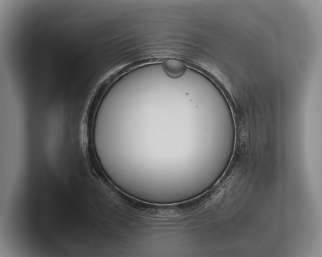 X0000102270979200808081437