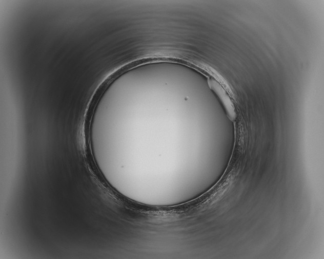 X0000102270980200808081437