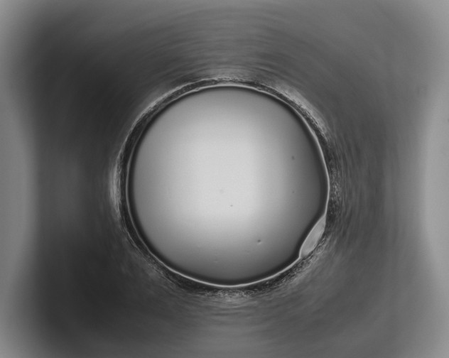 X0000102270983200808081437