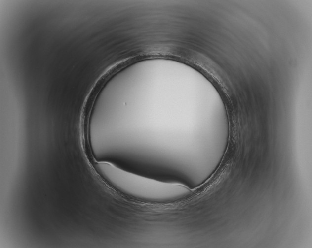 X0000102270984200808081437