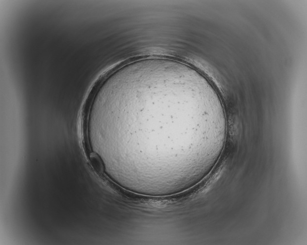 X0000102270987200808081437