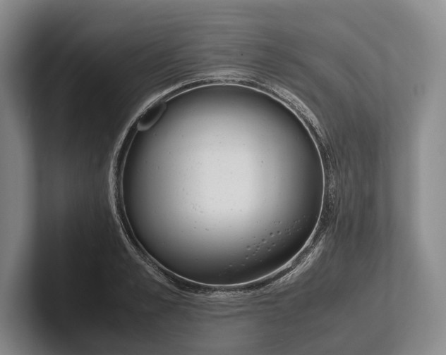 X0000102270989200808081437