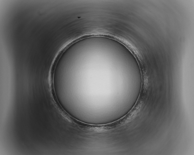 X0000102270990200808081437