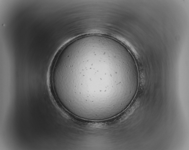 X0000102270991200808081437