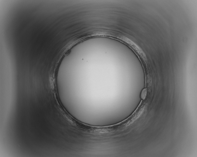 X0000102270993200808081437