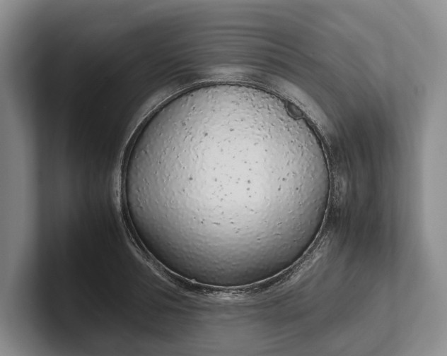 X0000102270994200808081437