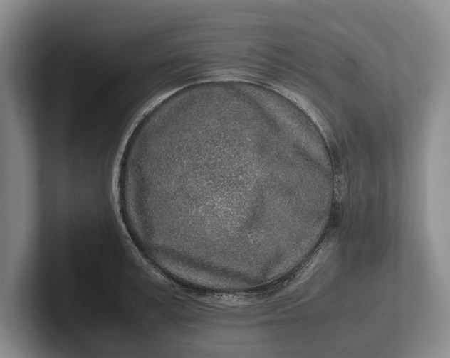 X0000102270995200808081437