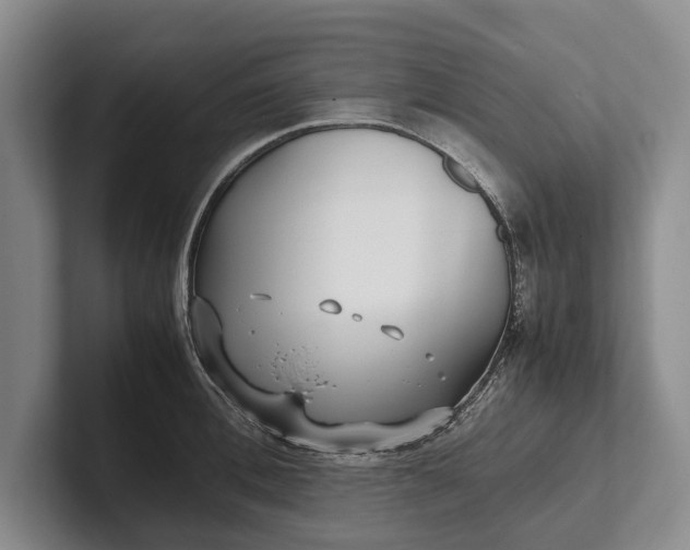 X0000102270996200808081437