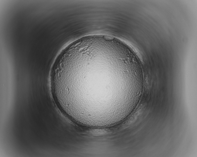 X0000102270998200808081437