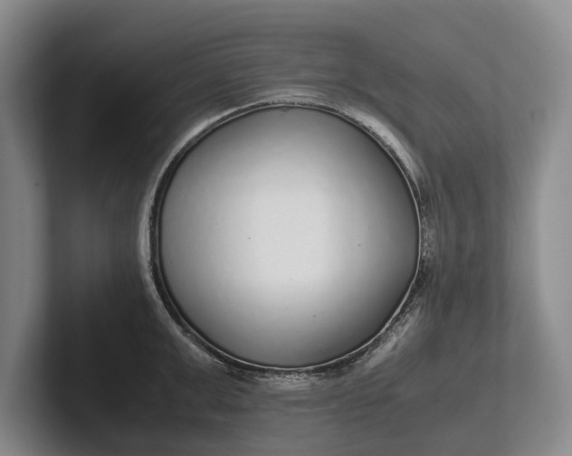 X0000102270999200808081437