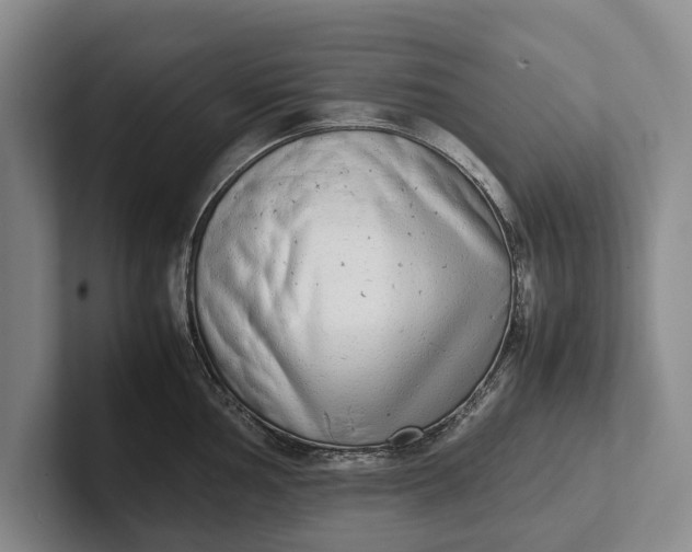 X0000102271002200808081437