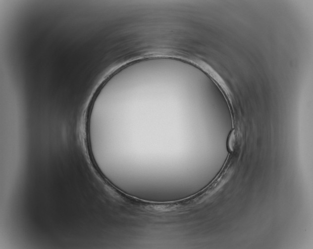 X0000102271005200808081437