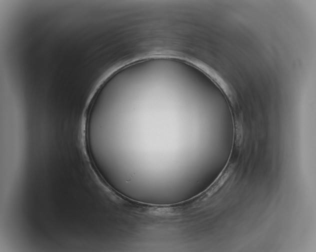 X0000102271006200808081437