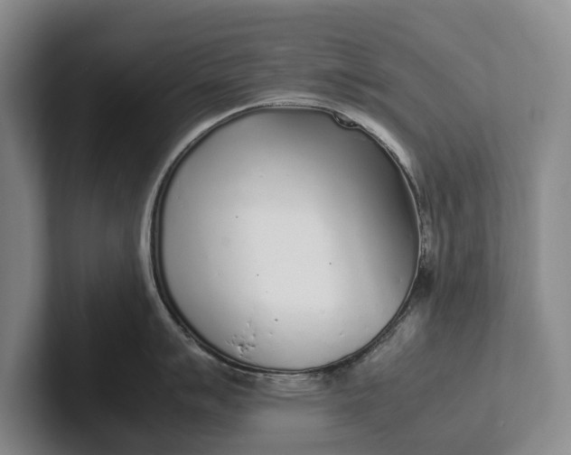 X0000102271007200808081437