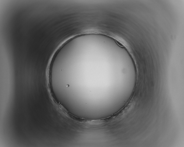 X0000102271008200808081437