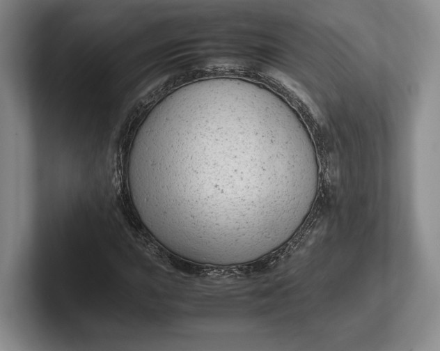 X0000102271015200808081436