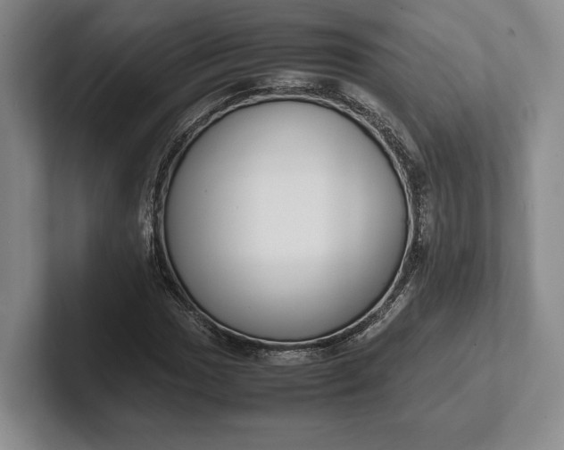 X0000102271017200808081436