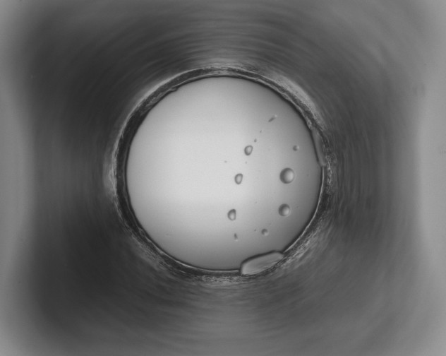 X0000102271020200808081436