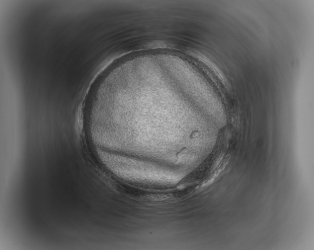 X0000102271023200808081436