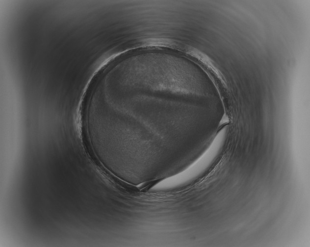 X0000102271024200808081436