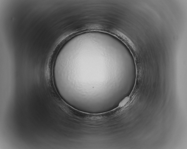 X0000102271027200808081436