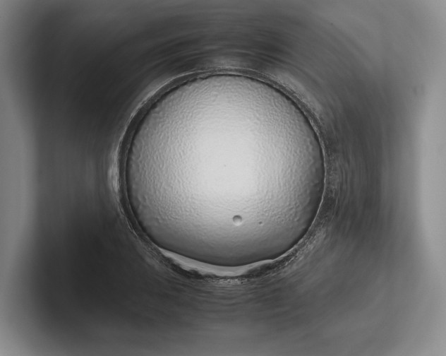 X0000102271031200808081436