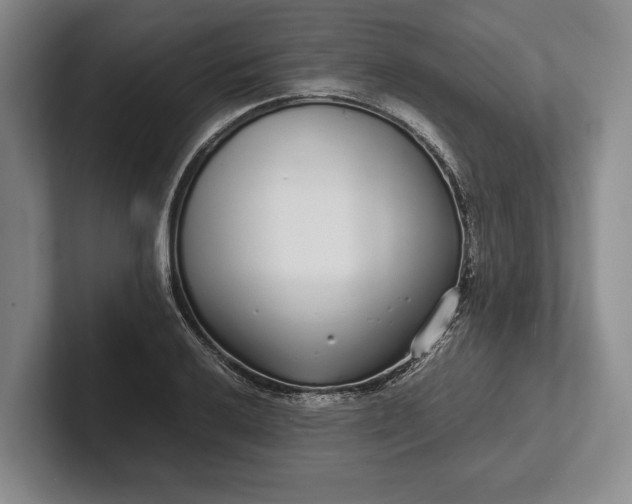 X0000102271032200808081436