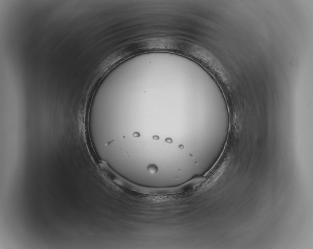 X0000102271033200808081436