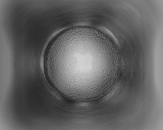 X0000102271035200808081436