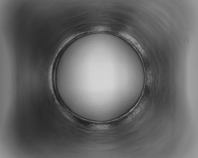 X0000102271039200808081436