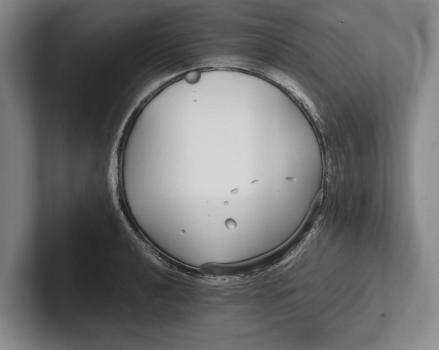 X0000102271040200808081436