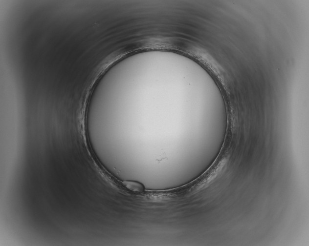 X0000102271041200808081436