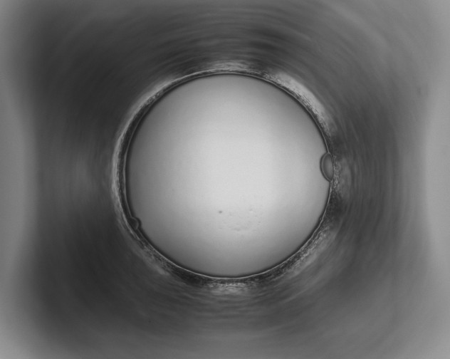 X0000102271043200808081436