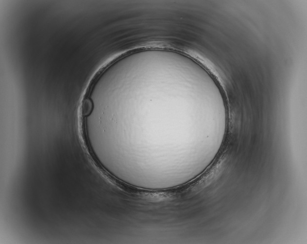 X0000102271045200808081436