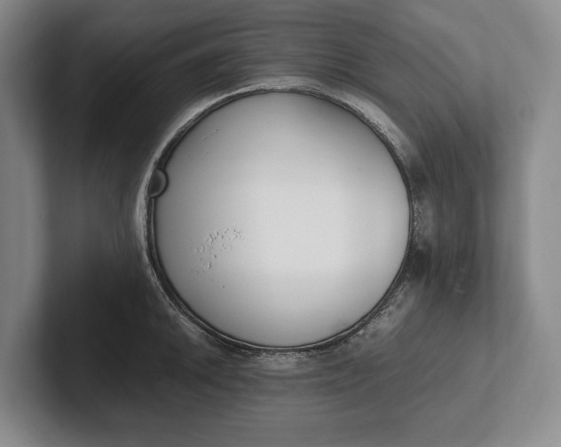 X0000102271046200808081436