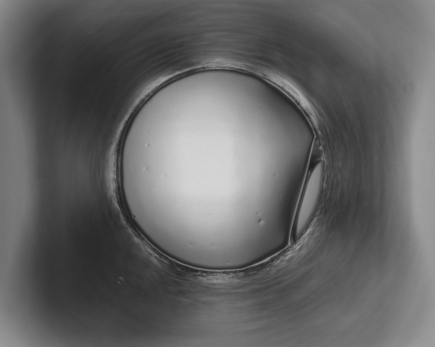 X0000102271048200808081436